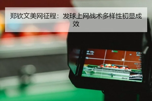 zheng-qin-wen-mei-wang-zheng-cheng-fa-qiu-shang-wang-zhan-shu-duo-yang-xing-chu-xian-cheng-xiao-2-800.jpg